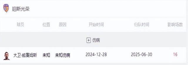 西悉尼流浪者伤病名单更新，关键球员状态备受关注的简单介绍